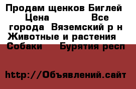 Продам щенков Биглей › Цена ­ 15 000 - Все города, Вяземский р-н Животные и растения » Собаки   . Бурятия респ.